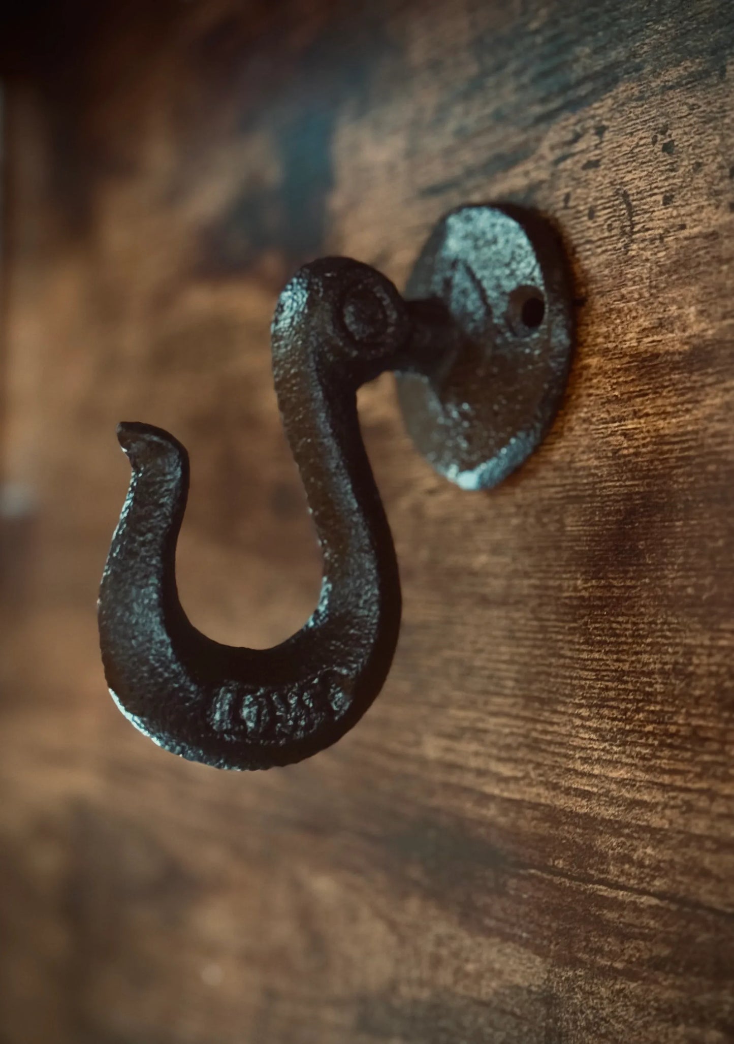 Rustic Cast Iron Hook